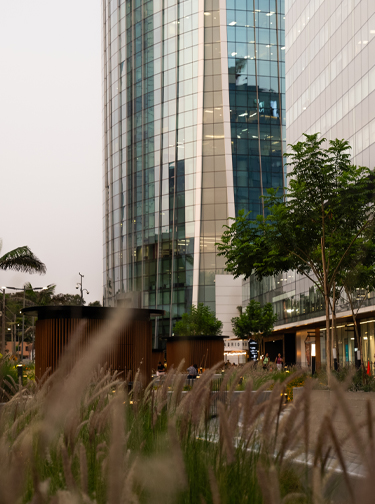 Nuevas aperturas en Paseo Begonias: Impulsamos el dinamismo en la comunidad empresarial.