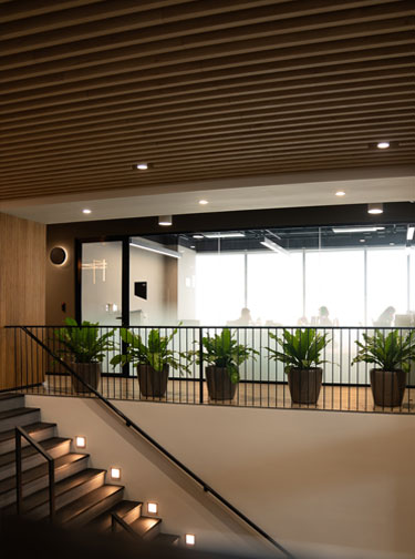 Flex: coworking prime en Paseo Begonias.