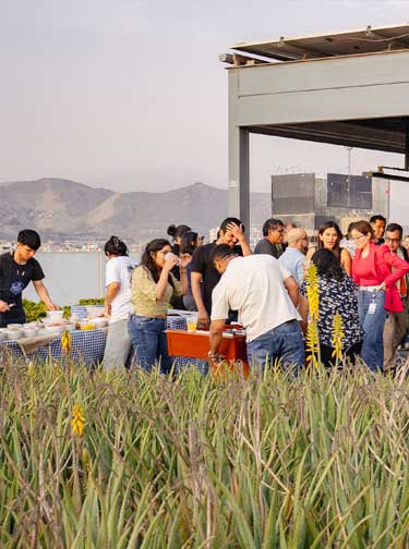 After Office: Experiencias únicas para nuestra comunidad empresarial.