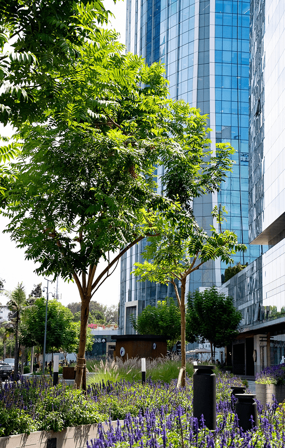 Oficinas Prime