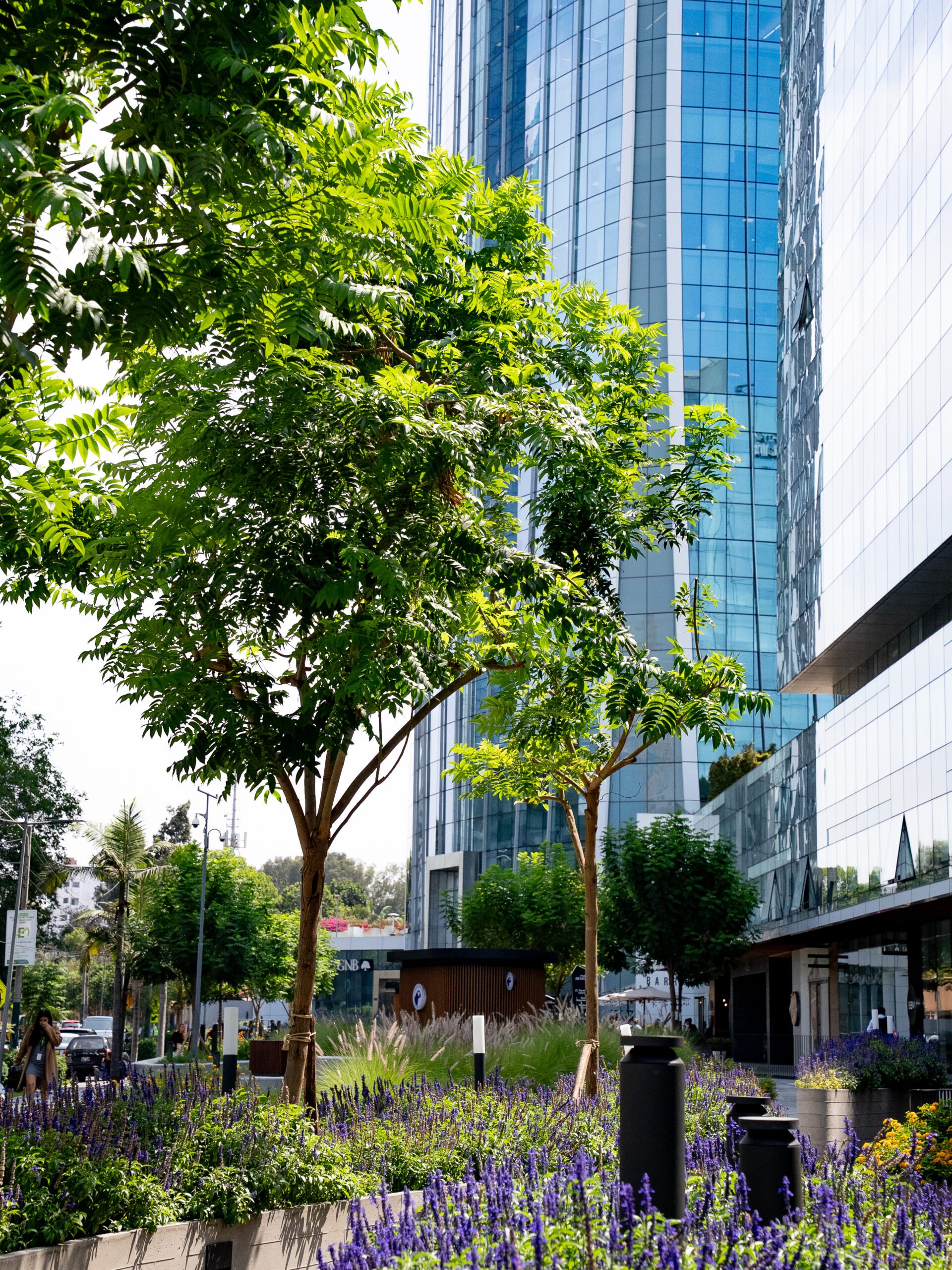 Paseo Begonias: nuestro principal destino urbano en San Isidro.
