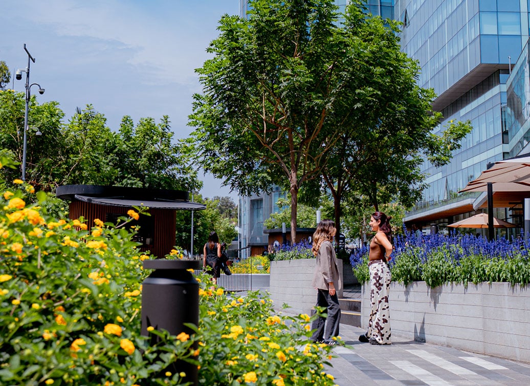 Paseo Begonias: El destino urbano para conectar con perfiles de alto nivel